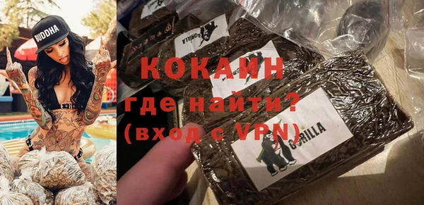 дживик Верхний Тагил