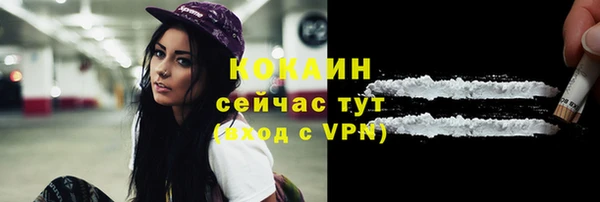 дживик Верхний Тагил