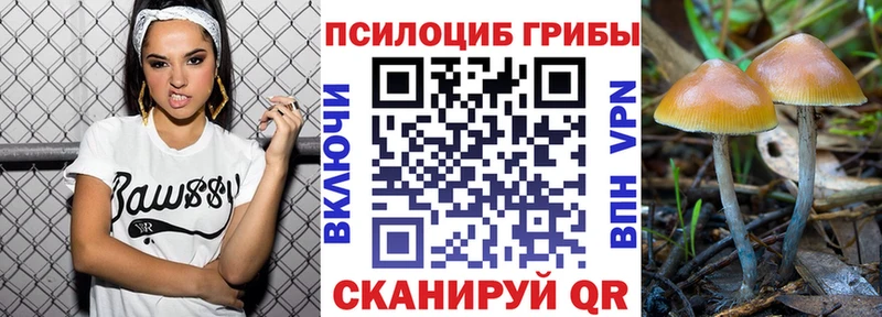 Галлюциногенные грибы мухоморы  Можайск 