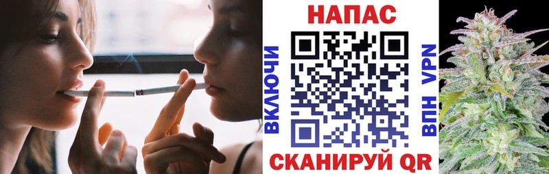 Каннабис планчик  Можайск 